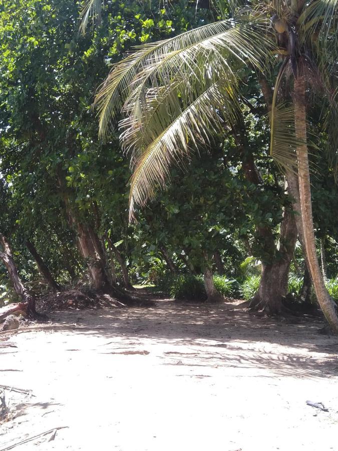 فندق Cabinas Talamanca Sa Puerto Viejo de Talamanca المظهر الخارجي الصورة